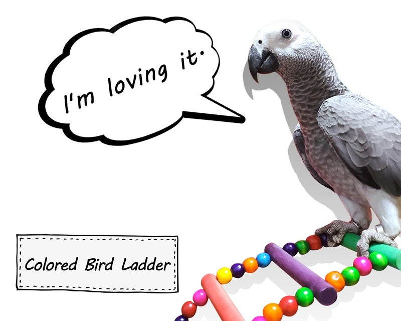 DS.DISTINCTIVE STYLE DS. DISTINCTIVE STYLE Bird Ladder Toys Coloured Flexible Parrot Swing Bridge Wooden Cockatiel Cage Hanging Climbing Ladder - Image 3